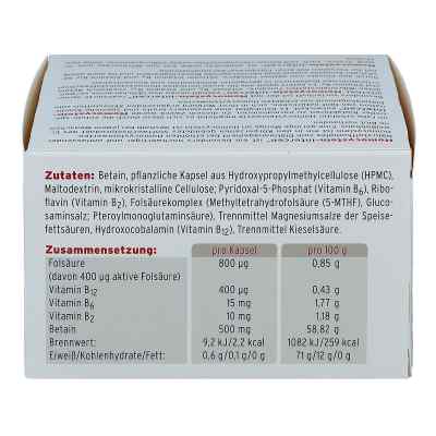 Homocystein-intercell Kapseln bei apo-discounter.de bestellen