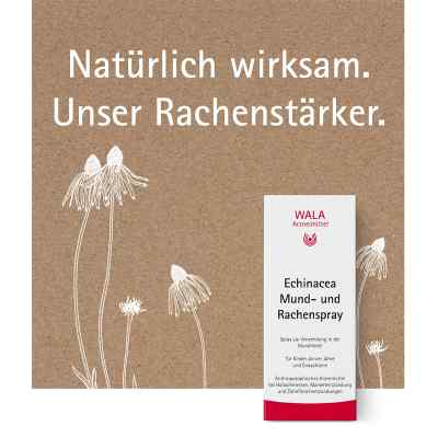 Echinacea Mund- und Rachenspray bei apo-discounter.de bestellen