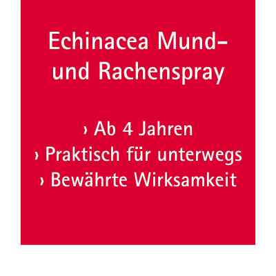 Echinacea Mund- und Rachenspray bei apo-discounter.de bestellen