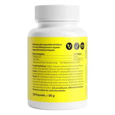 Zink Chelat 25 mg in magensaftresist.veg.Kaps. bei apo-discounter.de bestellen