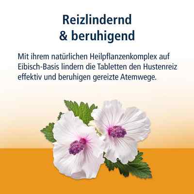 Klosterfrau Reizhusten Lutschtabletten bei apo-discounter.de bestellen