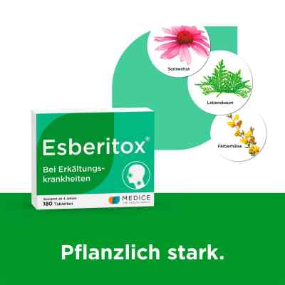 Esberitox Tabletten bei apo-discounter.de bestellen