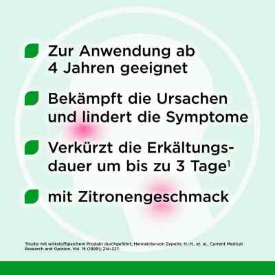 Esberitox Tabletten bei apo-discounter.de bestellen