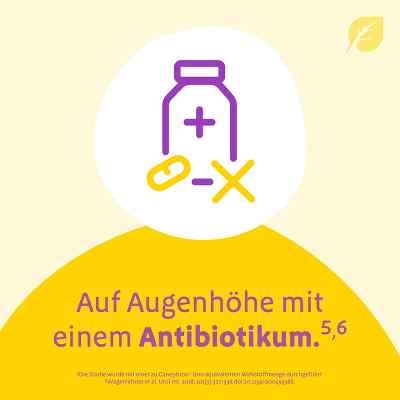 Canephron Uno überzogene Tabletten bei apo-discounter.de bestellen