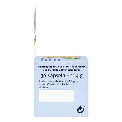 Doppelherz Pro Lacto Balance system Kapseln bei apo-discounter.de bestellen