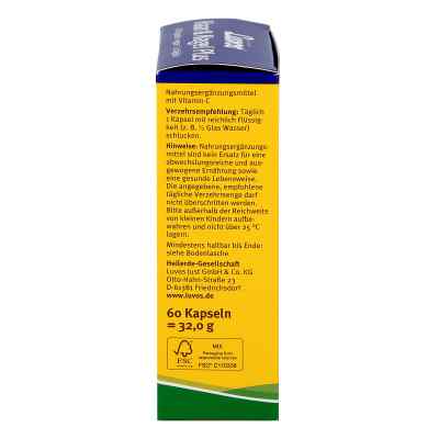 Luvos Heilerde Bio Haar & Nagel Plus Kapseln bei apo-discounter.de bestellen