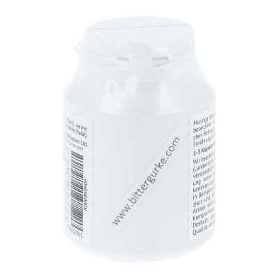Moringa Moringa oleifera 380 mg Hartkapseln bei apo-discounter.de bestellen