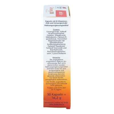 Doppelherz Ginseng 200+b-vitamine+zink Kapseln bei apo-discounter.de bestellen