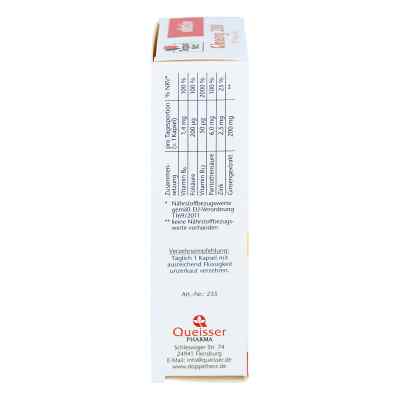 Doppelherz Ginseng 200+b-vitamine+zink Kapseln bei apo-discounter.de bestellen