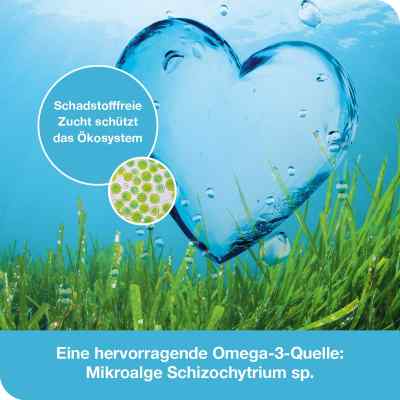 Omega3-loges pflanzlich Kapseln bei apo-discounter.de bestellen