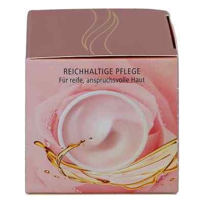 Olivenöl Intensivcreme Rose Nachtcreme bei apo-discounter.de bestellen