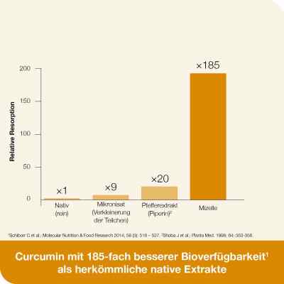 Curcumin-loges plus Boswellia Kapseln bei apo-discounter.de bestellen