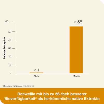 Curcumin-loges plus Boswellia Kapseln bei apo-discounter.de bestellen