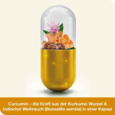 Curcumin-loges plus Boswellia Kapseln bei apo-discounter.de bestellen