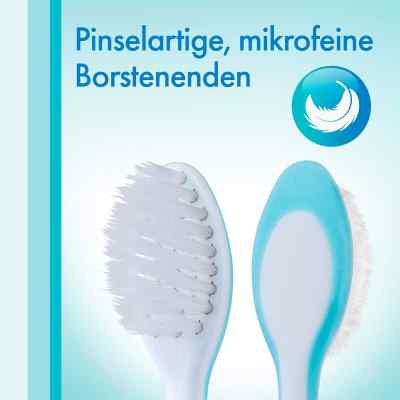 Meridol Zahnbürste sanft Doppelpack bei apo-discounter.de bestellen