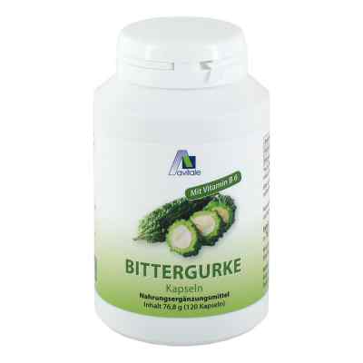Bittergurke 500 mg 10:1 Extrakt Kapseln bei apo-discounter.de bestellen