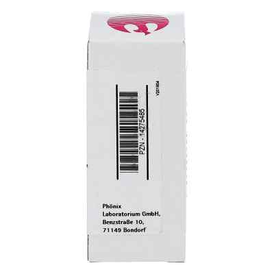 Juv 110 Globuli bei apo-discounter.de bestellen