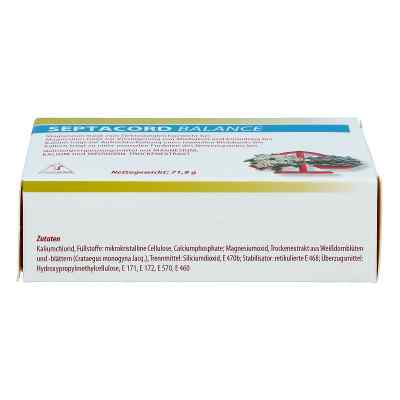 Septacord Balance Filmtabletten bei apo-discounter.de bestellen