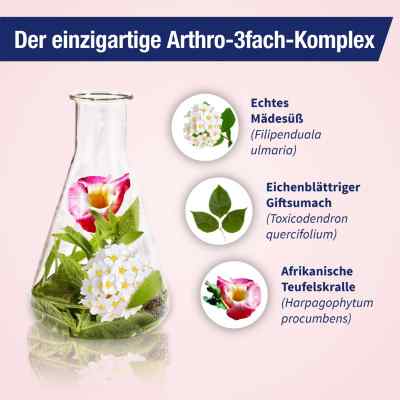 Gelencium Arthro Mischung bei apo-discounter.de bestellen