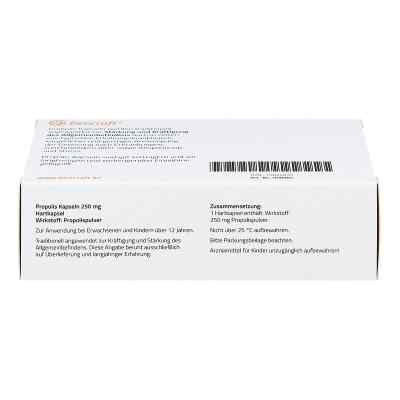 Beecraft Propolis Kapseln bei apo-discounter.de bestellen