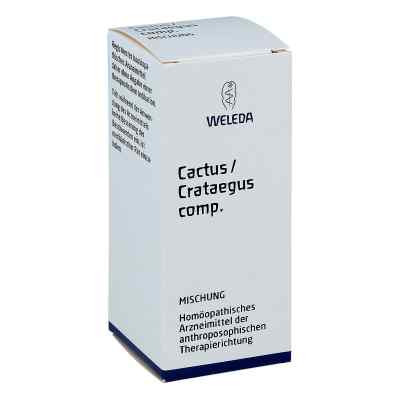Cactus/crataegus compositus Mischung bei apo-discounter.de bestellen