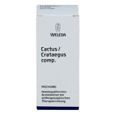 Cactus/crataegus compositus Mischung bei apo-discounter.de bestellen