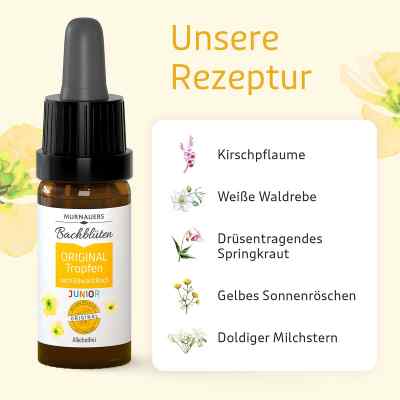 Murnauers Bachblüten Original Junior Tropfen bei apo-discounter.de bestellen