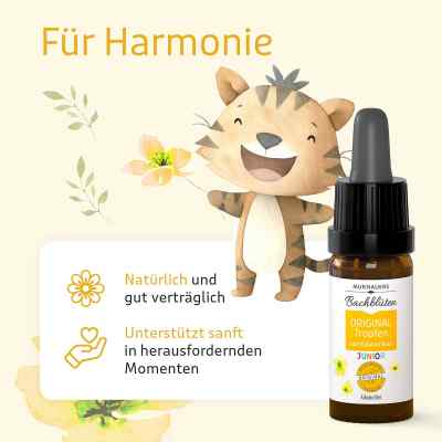 Murnauers Bachblüten Original Junior Tropfen bei apo-discounter.de bestellen