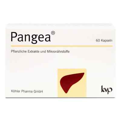 Pangea Kapseln bei apo-discounter.de bestellen