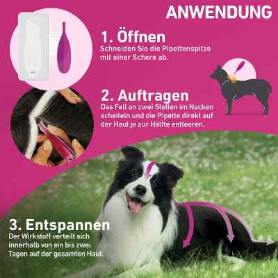 Frontline Tri-Act gegen Zecken, Flöhe bei Hunden (20-40kg) bei apo-discounter.de bestellen