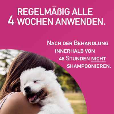 Frontline Tri-Act gegen Zecken, Flöhe bei Hunden (20-40kg) bei apo-discounter.de bestellen