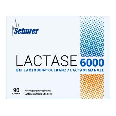 Schurer Lactase 6000 Kapseln bei apo-discounter.de bestellen