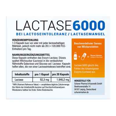 Schurer Lactase 6000 Kapseln bei apo-discounter.de bestellen