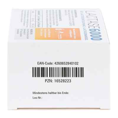 Schurer Lactase 6000 Kapseln bei apo-discounter.de bestellen