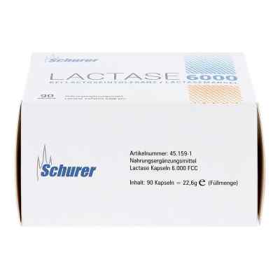 Schurer Lactase 6000 Kapseln bei apo-discounter.de bestellen