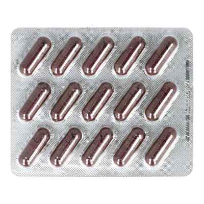Cranberry Extrakt 300 mg Kapseln bei apo-discounter.de bestellen