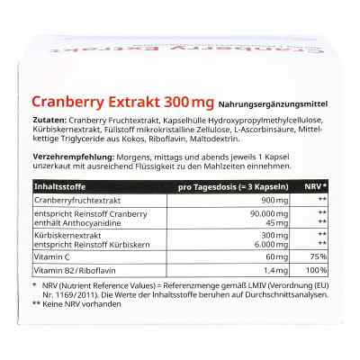 Cranberry Extrakt 300 mg Kapseln bei apo-discounter.de bestellen