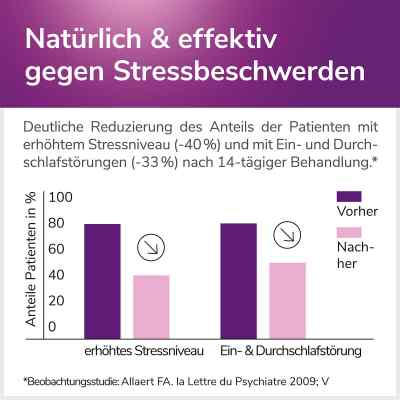 Calmalaif bei stressbedingter Unruhe und Schlafproblemen bei apo-discounter.de bestellen