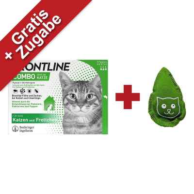 FRONTLINE COMBO Katze