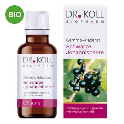 Gemmo Mazerat Schwarze Johannisbeere Doktor koll Ribes 50 ml von Dr. Koll Biopharm GmbH PZN 18467997