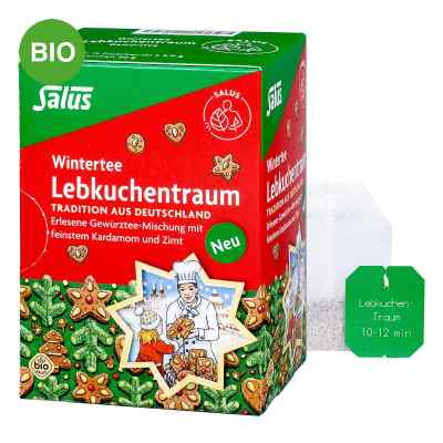 Salus Lebkuchentraum Bio Filterbeutel