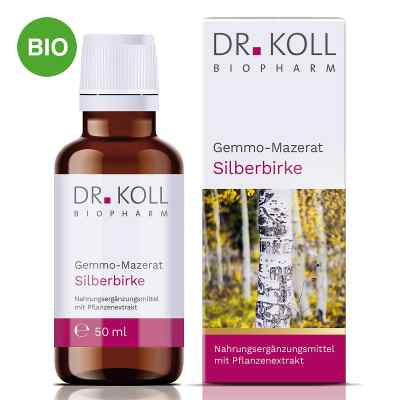 Dr. Koll Gemmo-Mazerat Silberbirke Tropfen