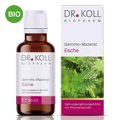 Dr. Koll Gemmo-Mazerat Esche Tropfen