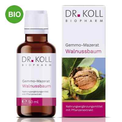 Dr. Koll Gemmo-Mazerat Wallnussbaum Tropfen