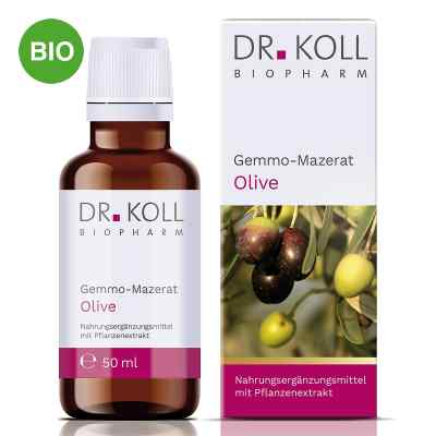 Dr. Koll Gemmo-Mazerat Olive Tropfen