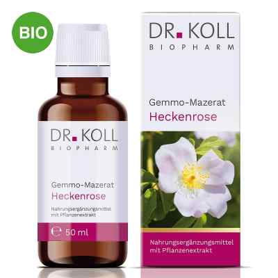 Dr. Koll Gemmo-Mazerat Heckenrose Tropfen