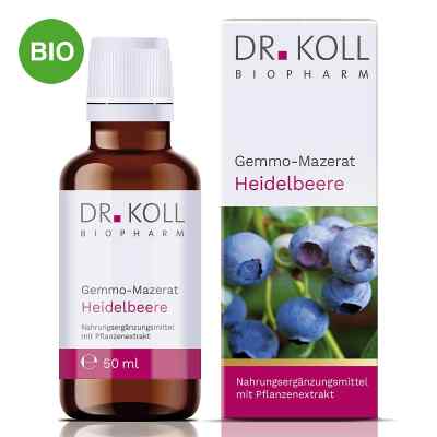 Dr. Koll Gemmo-Mazerat Heidelbeere Tropfen