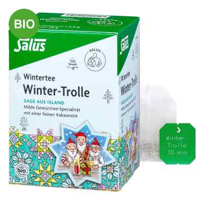 Salus Winter-Trolle Winter-Gewürztee Bio Filterbeutel