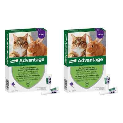 Advantage 80 mg für gr.Katzen und gr.Zierkaninchen 2x4x0.8 ml von Elanco Deutschland GmbH PZN 08102633