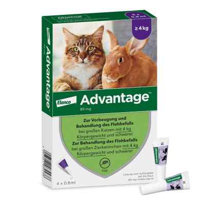 Advantage 80 mg für gr.Katzen und gr.Zierkaninchen 4X0.8 ml von Elanco Deutschland GmbH PZN 09670104